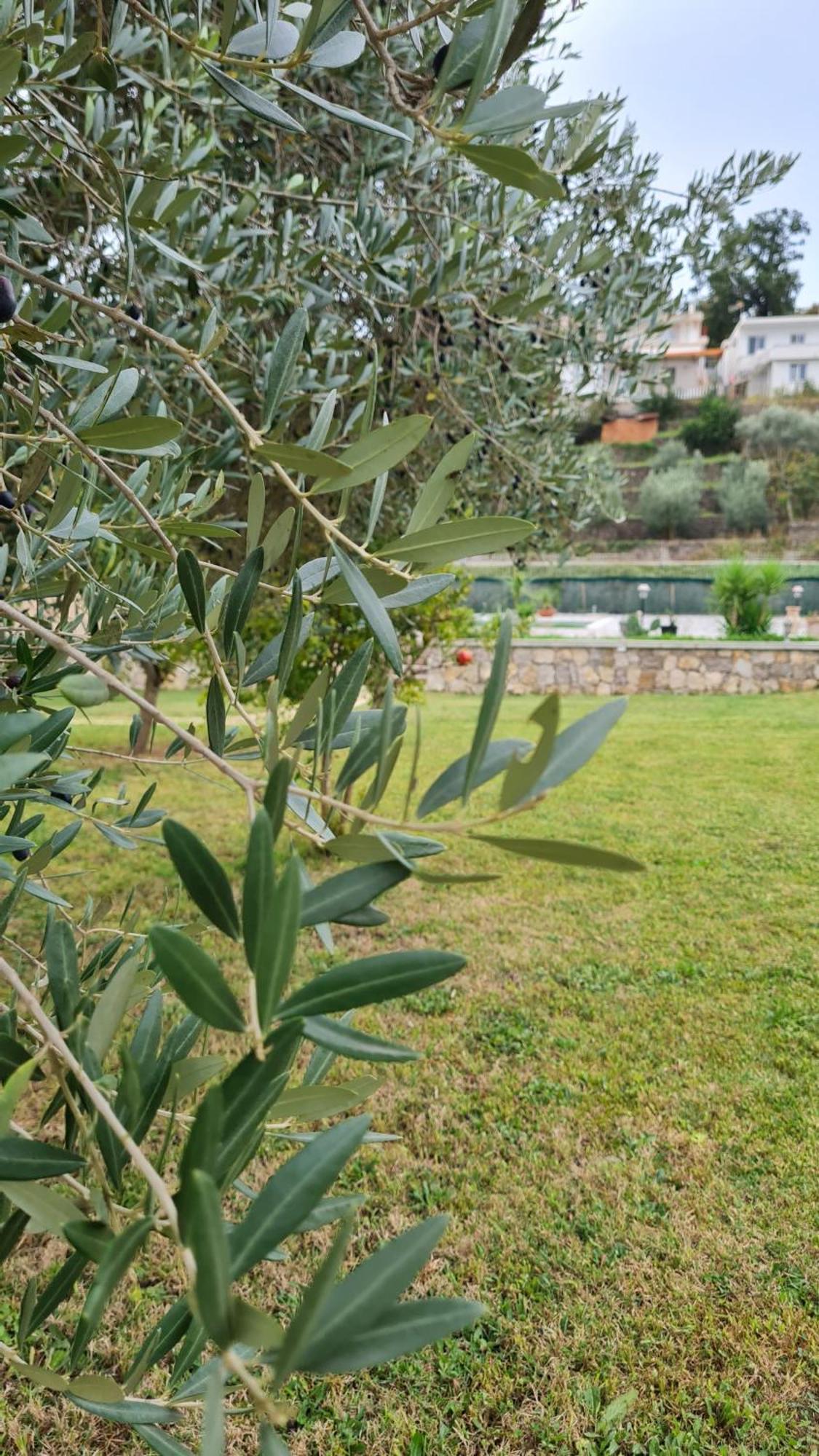 Hotel La Hacienda à Ulcinj Extérieur photo